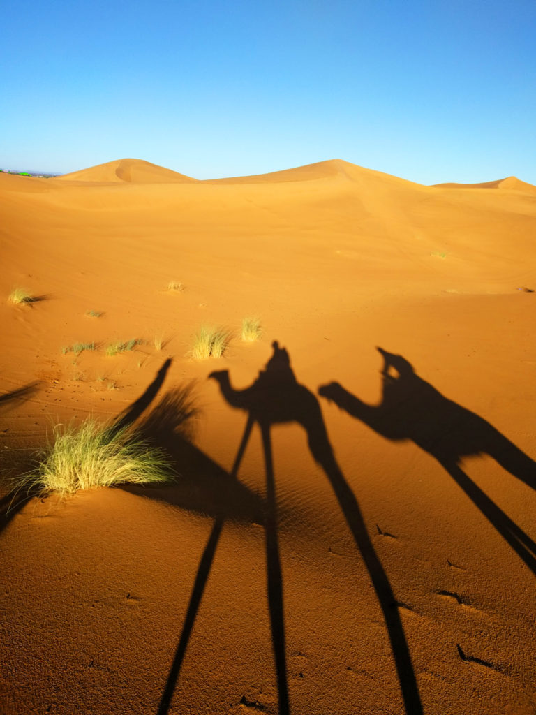 Camel caravan shadows in the desert