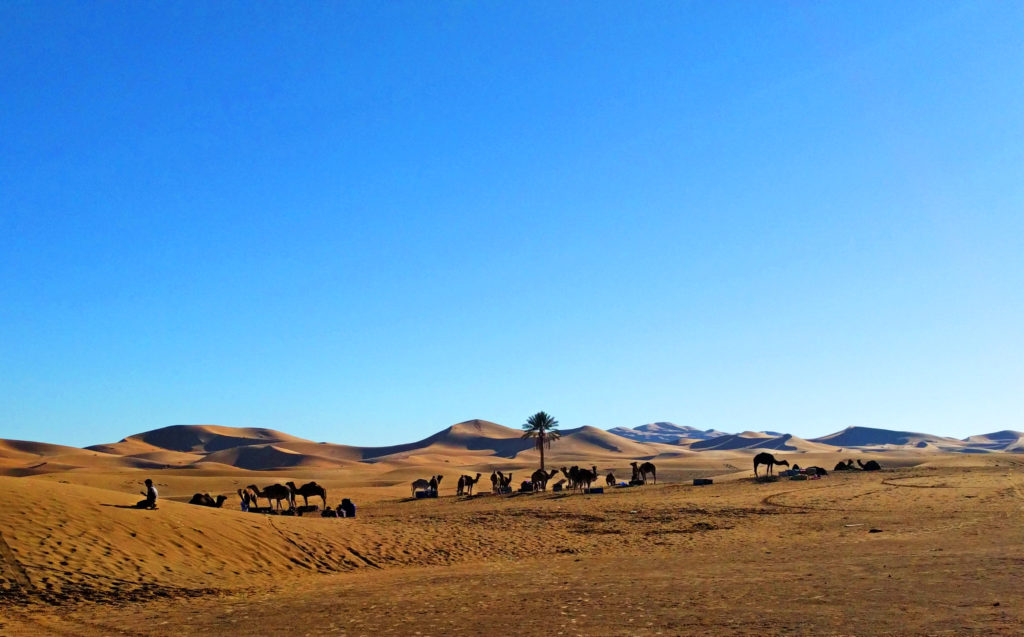 Sahara Desert, Morocco