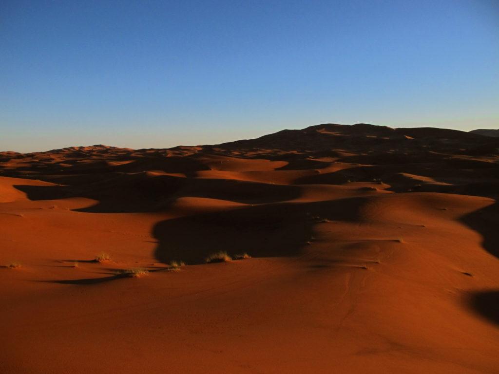 Sahara sand dunes